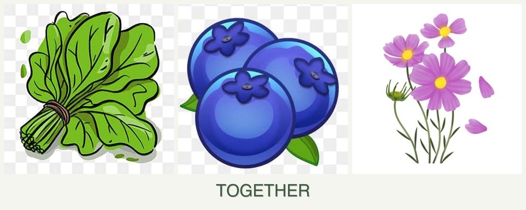 Can you plant spinach, blueberries and cosmos together?