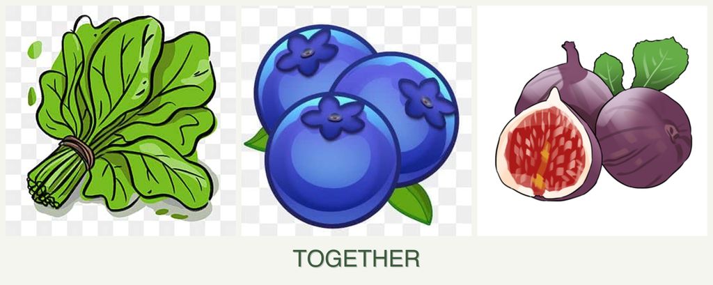 Can you plant spinach, blueberries and figs together?