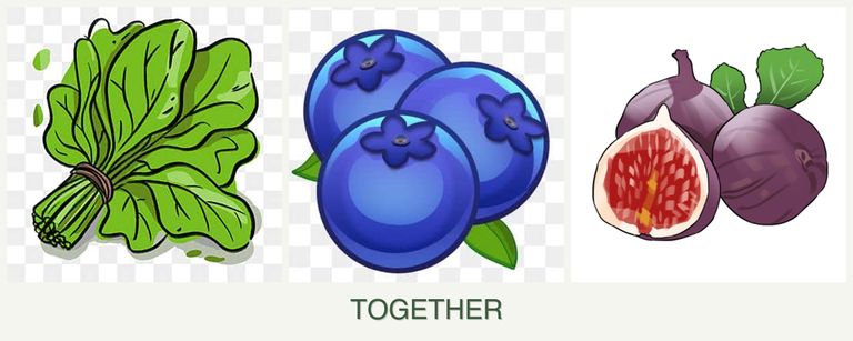 Can you plant spinach, blueberries and figs together?