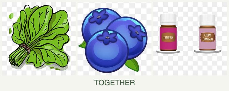 Can you plant spinach, blueberries and geraniums together?