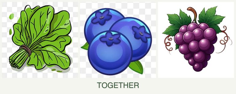 Can you plant spinach, blueberries and grapes together?