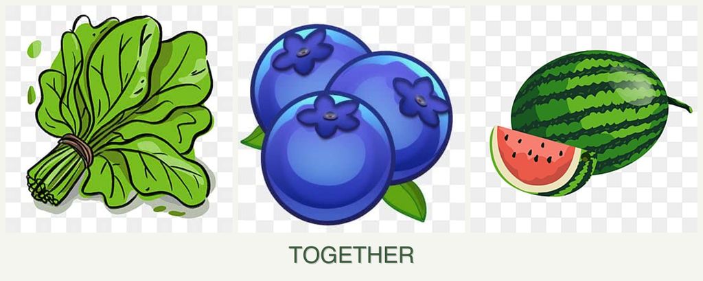 Can you plant spinach, blueberries and melons together?