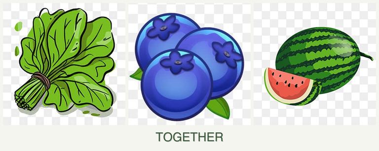 Can you plant spinach, blueberries and melons together?