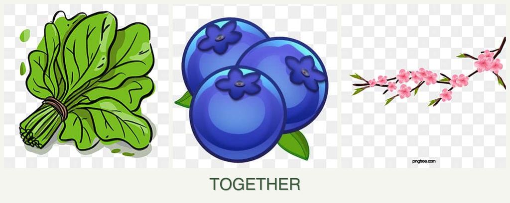 Can you plant spinach, blueberries and peaches together?