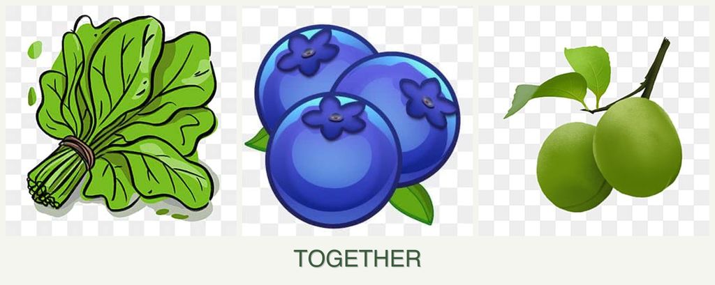 Can you plant spinach, blueberries and plums together?
