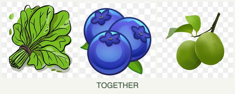 Can you plant spinach, blueberries and plums together?