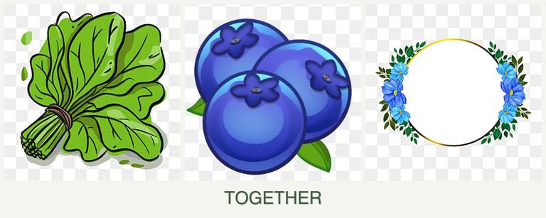Can you plant spinach, blueberries and zinnias together?