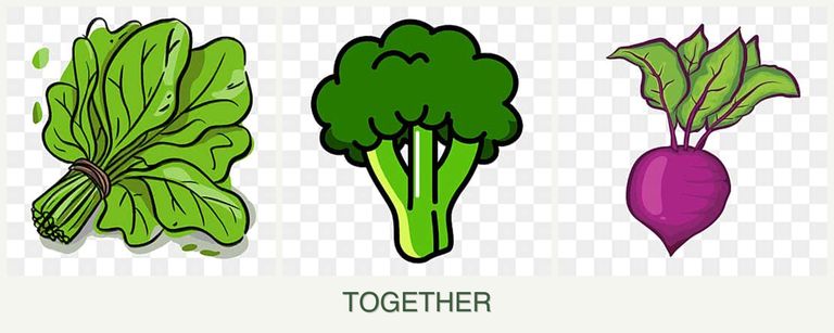 Can you plant spinach, broccoli and beets together?