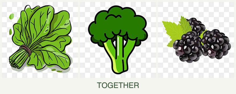 Can you plant spinach, broccoli and blackberries together?