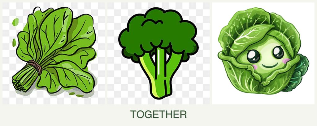 Can you plant spinach, broccoli and cabbage together?