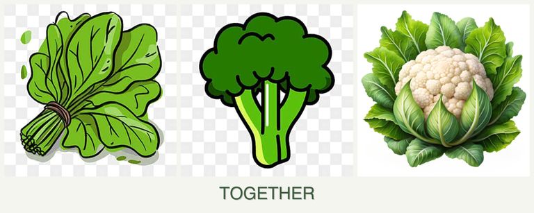 Can you plant spinach, broccoli and cauliflower together?