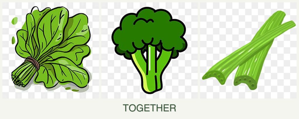 Can you plant spinach, broccoli and celery together?