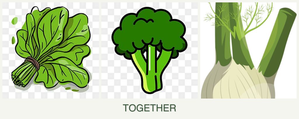 Can you plant spinach, broccoli and fennel together?