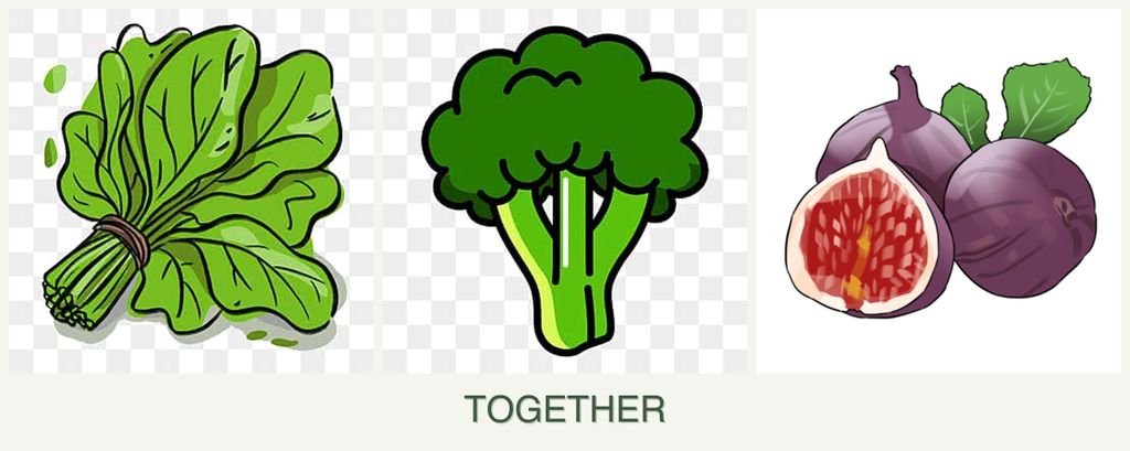 Can you plant spinach, broccoli and figs together?