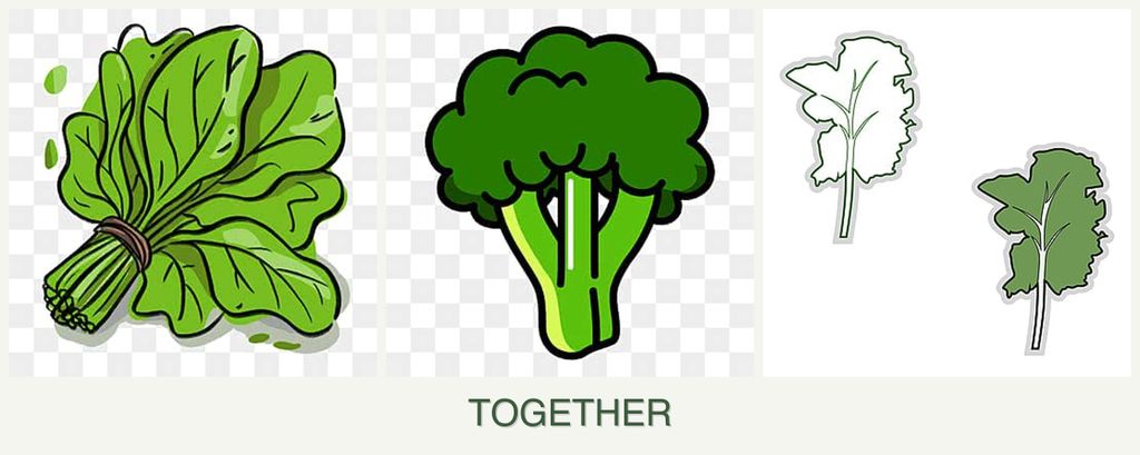 Can you plant spinach, broccoli and kale together?