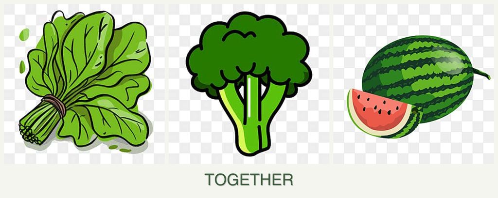 Can you plant spinach, broccoli and melons together?