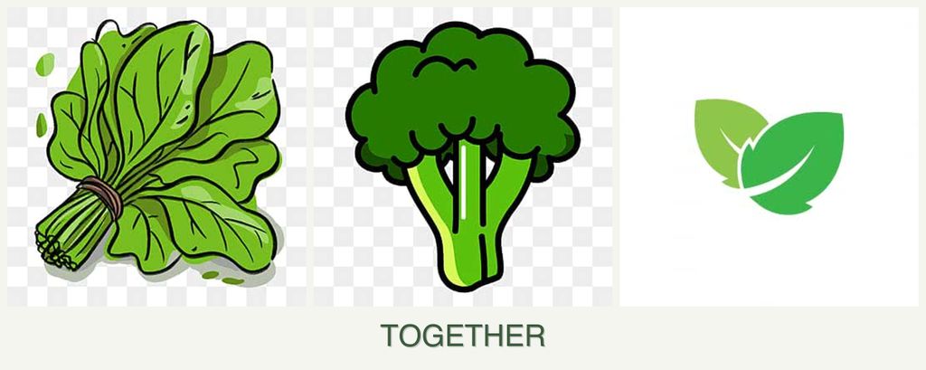 Can you plant spinach, broccoli and mint together?