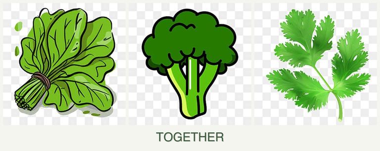 Can you plant spinach, broccoli and parsley together?