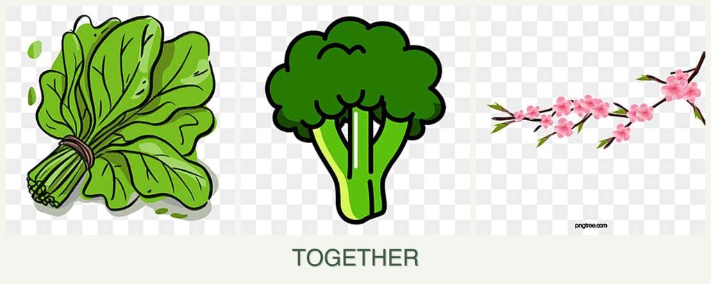 Can you plant spinach, broccoli and peaches together?