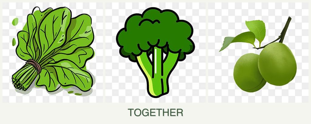 Can you plant spinach, broccoli and plums together?
