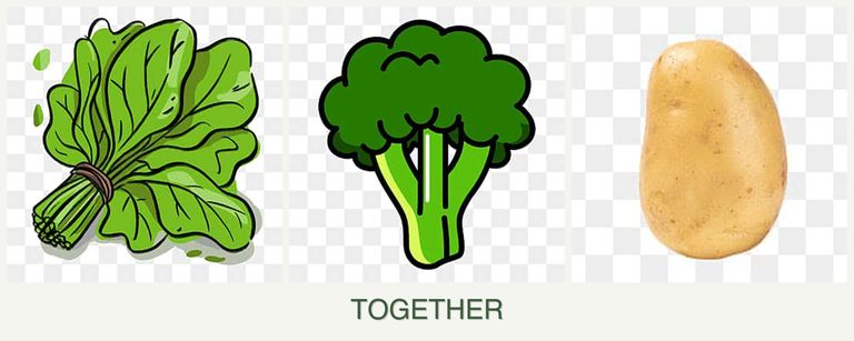 Can you plant spinach, broccoli and potatoes together?