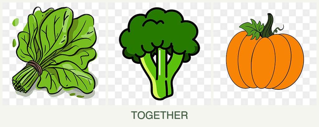 Can you plant spinach, broccoli and pumpkin together?