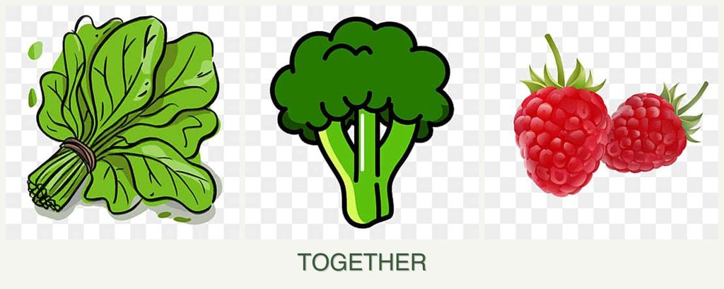Can you plant spinach, broccoli and raspberries together?