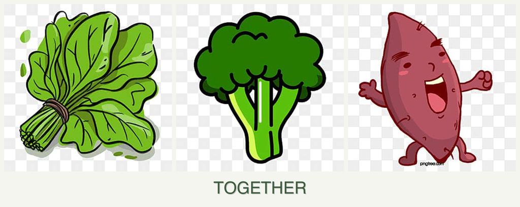 Can you plant spinach, broccoli and sweet potatoes together?