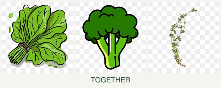 Can you plant spinach, broccoli and thyme together?