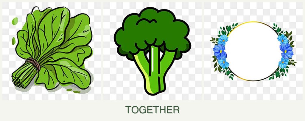 Can you plant spinach, broccoli and zinnias together?