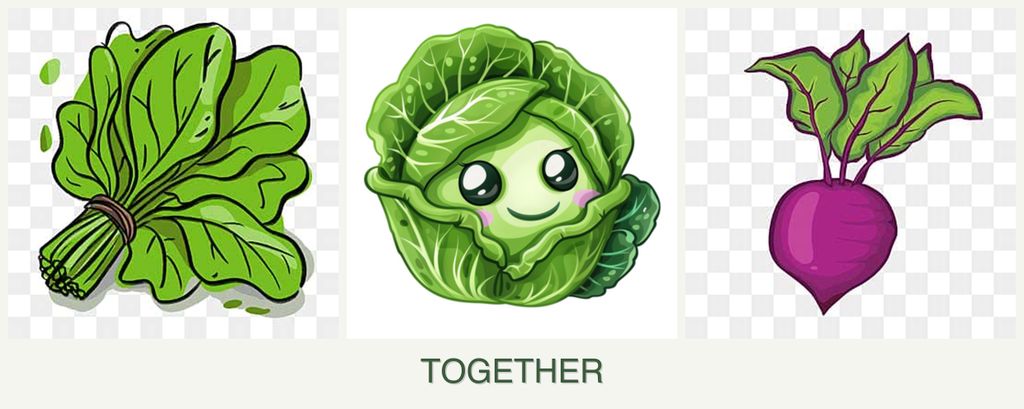 Can you plant spinach, cabbage and beets together?