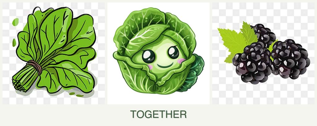 Can you plant spinach, cabbage and blackberries together?