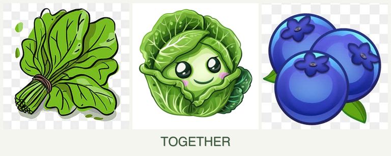 Can you plant spinach, cabbage and blueberries together?