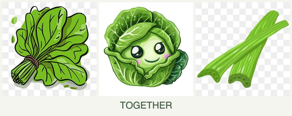 Can you plant spinach, cabbage and celery together?