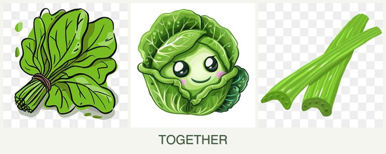 Can you plant spinach, cabbage and celery together?