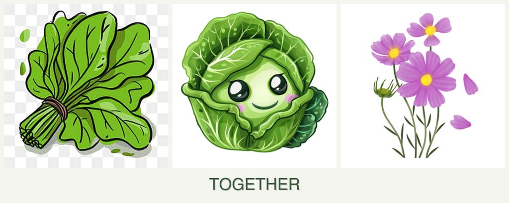 Can you plant spinach, cabbage and cosmos together?