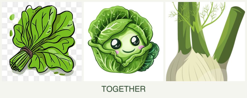 Can you plant spinach, cabbage and fennel together?