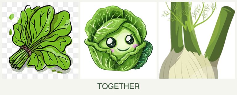 Can you plant spinach, cabbage and fennel together?