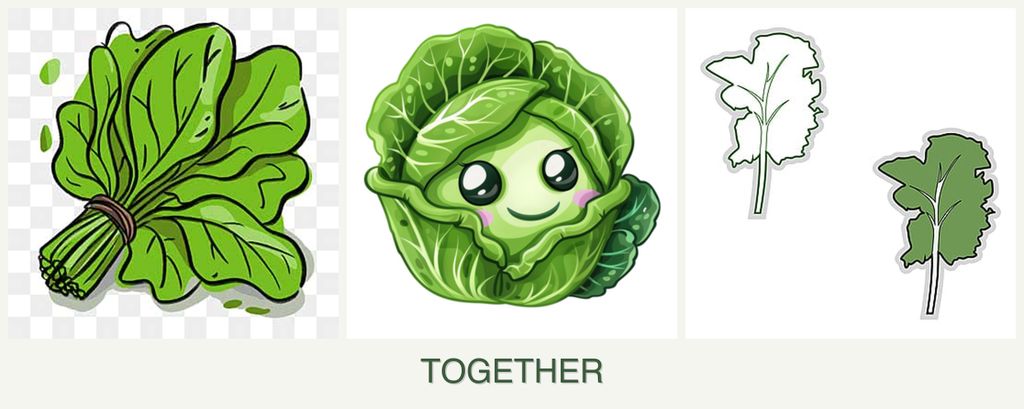 Can you plant spinach, cabbage and kale together?