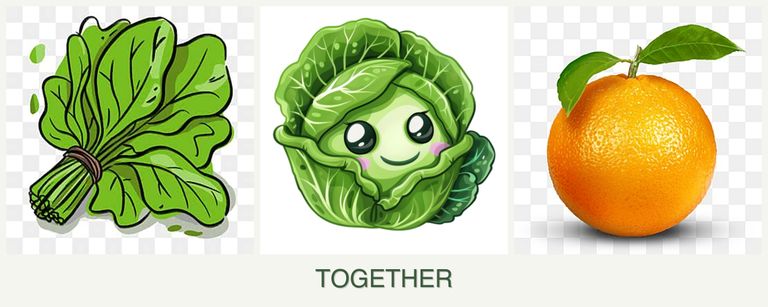 Can you plant spinach, cabbage and oranges together?