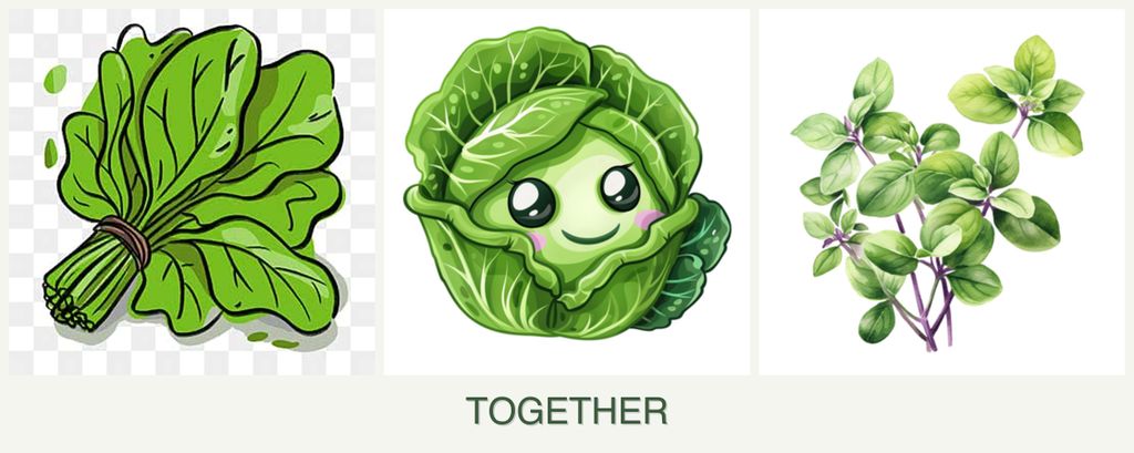 Can you plant spinach, cabbage and oregano together?