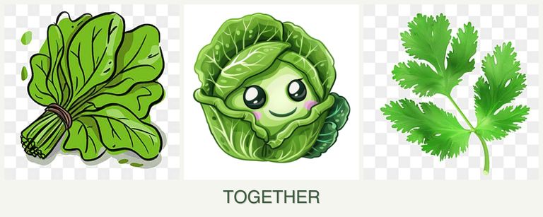 Can you plant spinach, cabbage and parsley together?