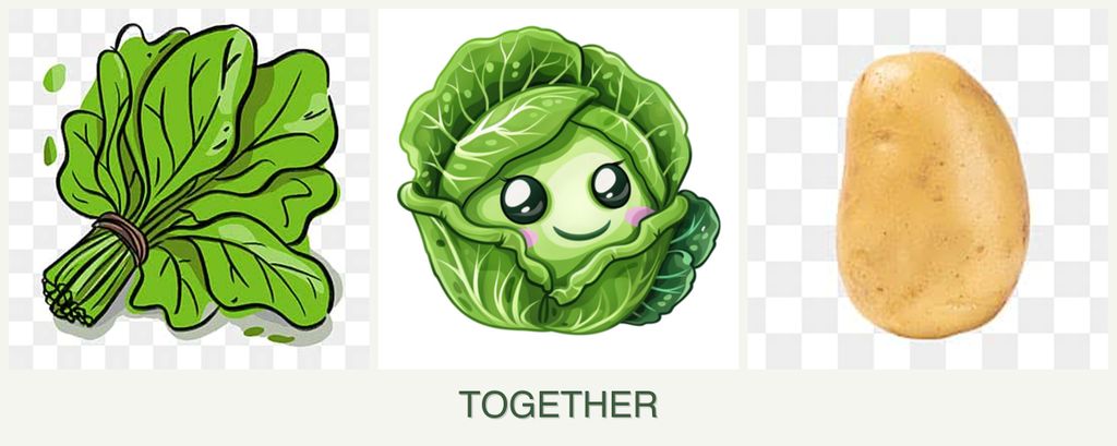 Can you plant spinach, cabbage and potatoes together?