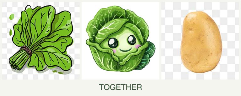 Can you plant spinach, cabbage and potatoes together?
