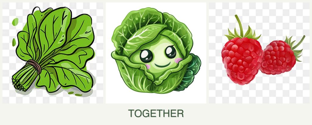 Can you plant spinach, cabbage and raspberries together?
