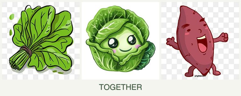 Can you plant spinach, cabbage and sweet potatoes together?