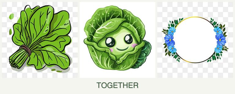 Can you plant spinach, cabbage and zinnias together?