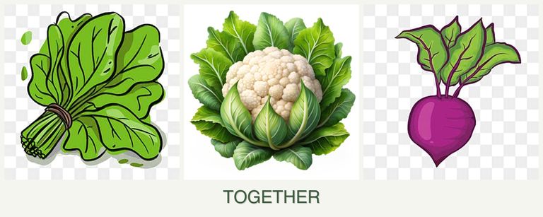 Can you plant spinach, cauliflower and beets together?