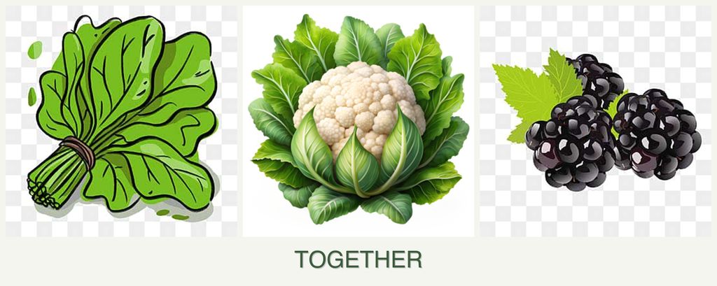 Can you plant spinach, cauliflower and blackberries together?