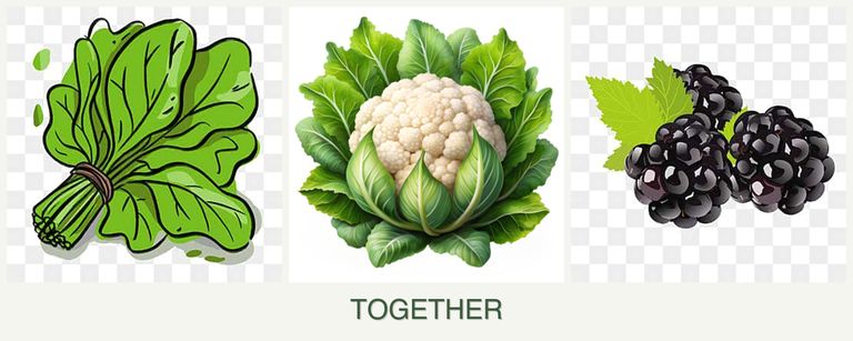 Can you plant spinach, cauliflower and blackberries together?